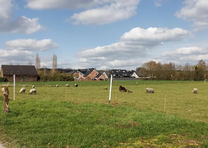 Vistamo Dorsten-rhade, Modernes Dorsten